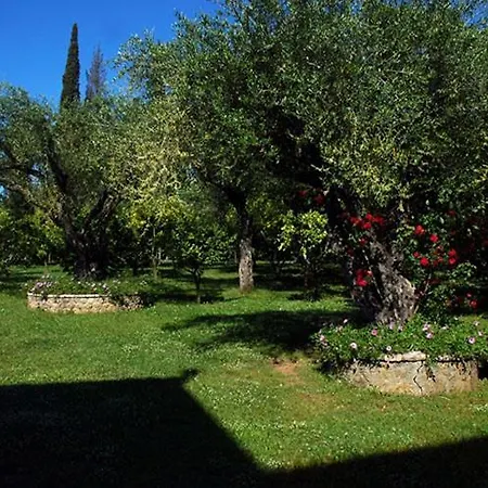 Omirico Studios Corfu  Экстерьер фото